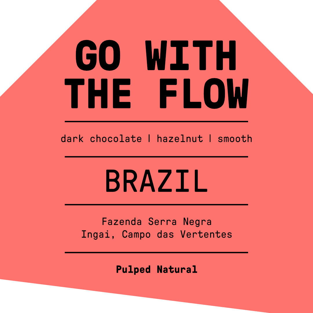 Go With The Flow (Brazil)