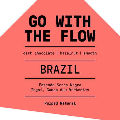 Go With The Flow (Brazil)
