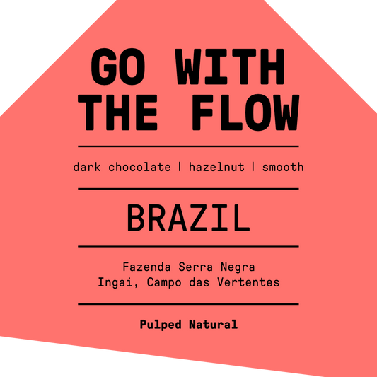 Go With The Flow (Brazil)