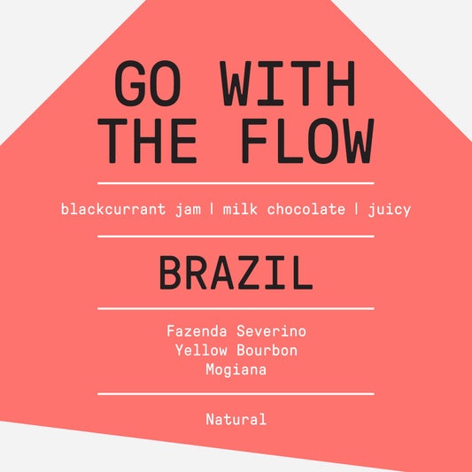 Go With The Flow (Brazil)