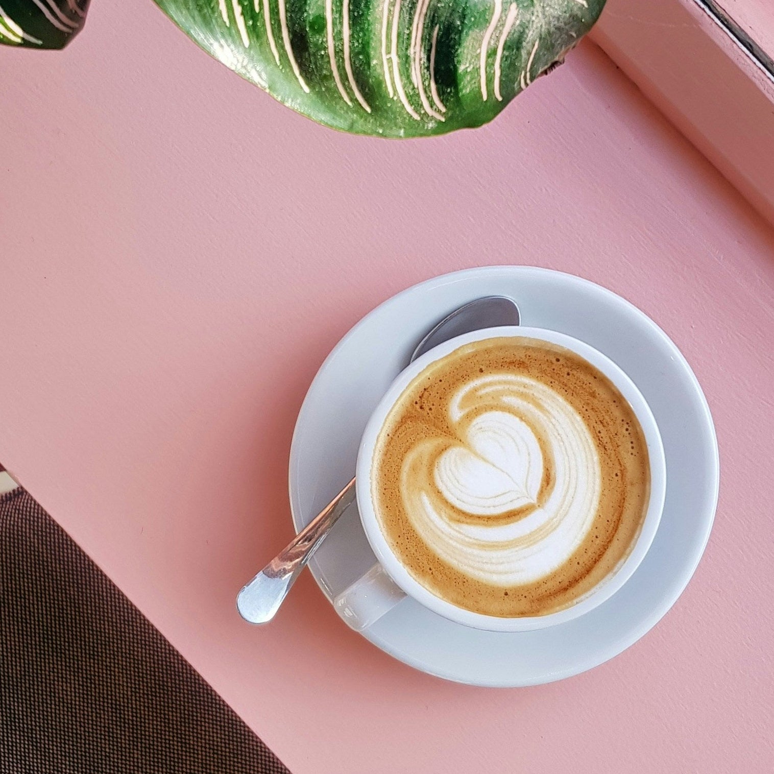 Cappuccino with latte art on a pink table, next to a plant
